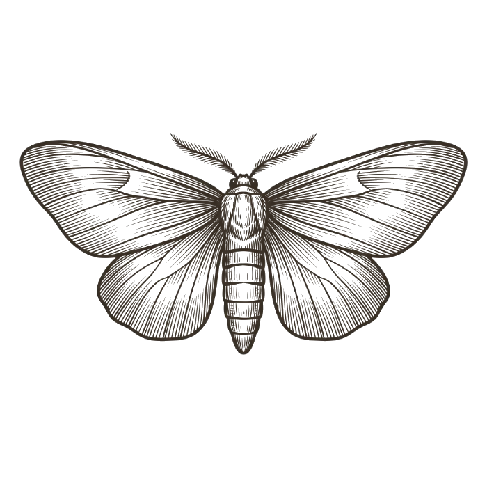 moth