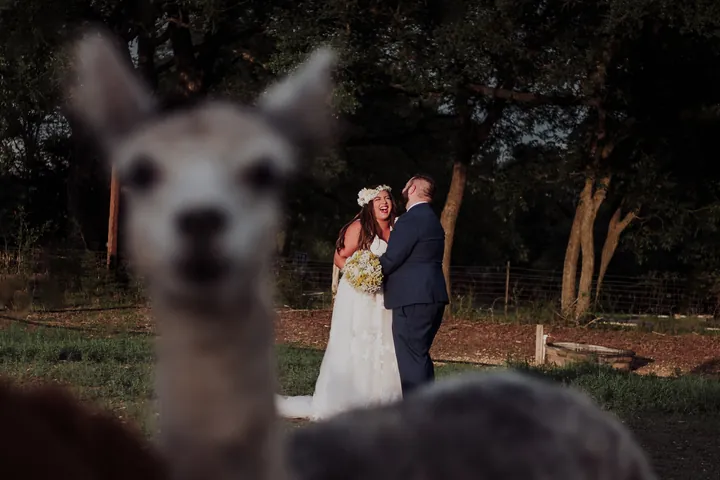 Rob August, Austin wedding photographer