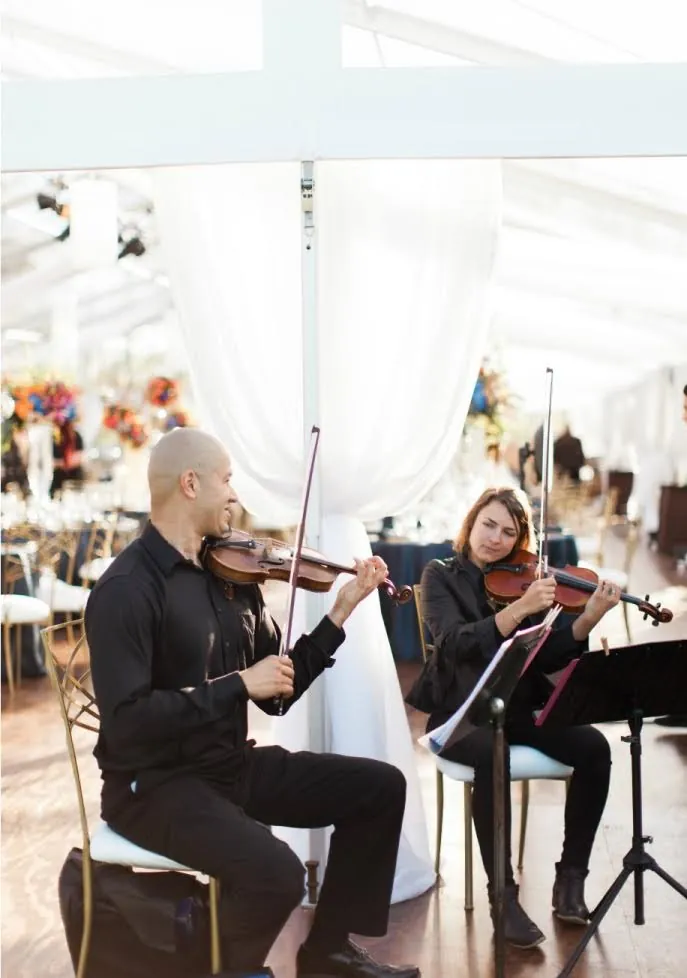 Work by Terra Vista Strings